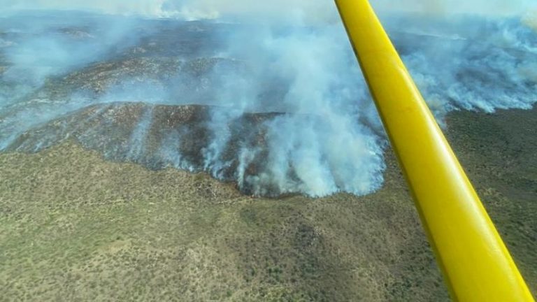 Un centenar de bomberos luchan en un gran incendio en Tulumba