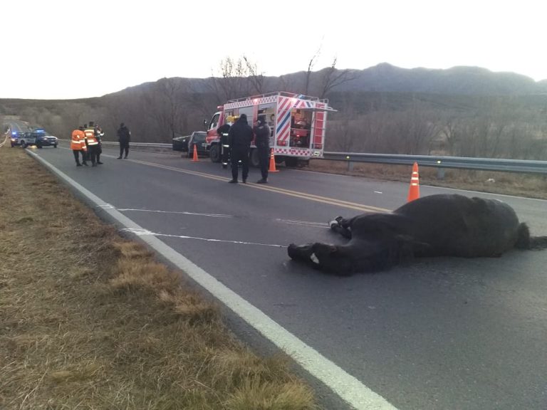 La Cumbre: un automovilista murió al chocar contra un caballo
