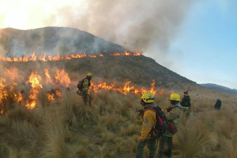 Incendios forestales: declaran la emergencia ígnea en todo el país por un año