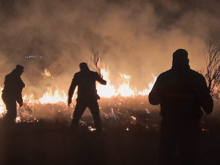 Bomberos sofocaron otro incendio forestal en La Cumbre