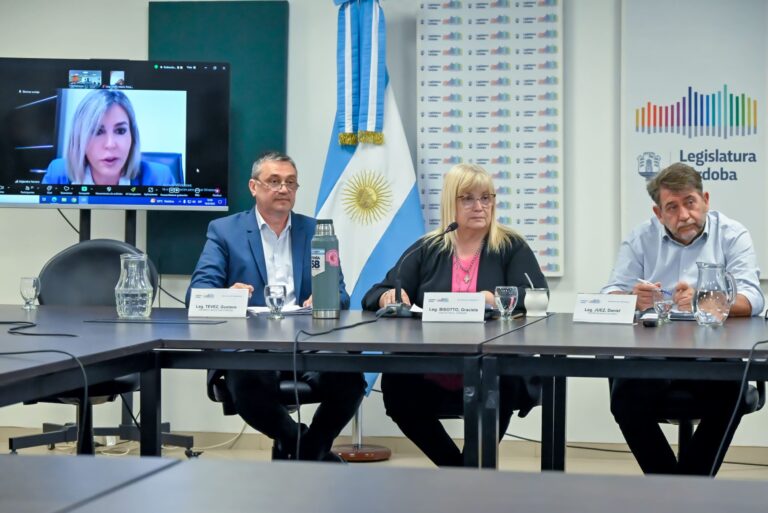 Transporte: en comisión, trataron gratuidad para voluntarios y universalización de medios de pago