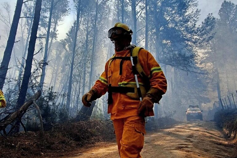 El peor del año. Incendio en El Durazno: al menos 20 casas fueron consumidas por el fuego