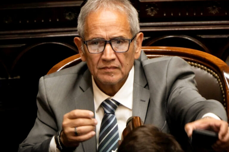 “Therians que se autoperciben leones”: la insólita definición de un diputado durante la sesión de Adorni
